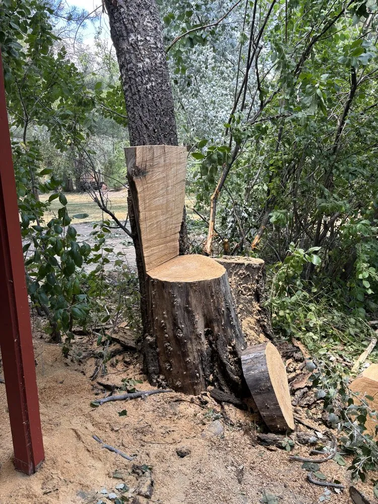 Affordable residential landscaping in Westminster, CO by Ace Tree Service LLC