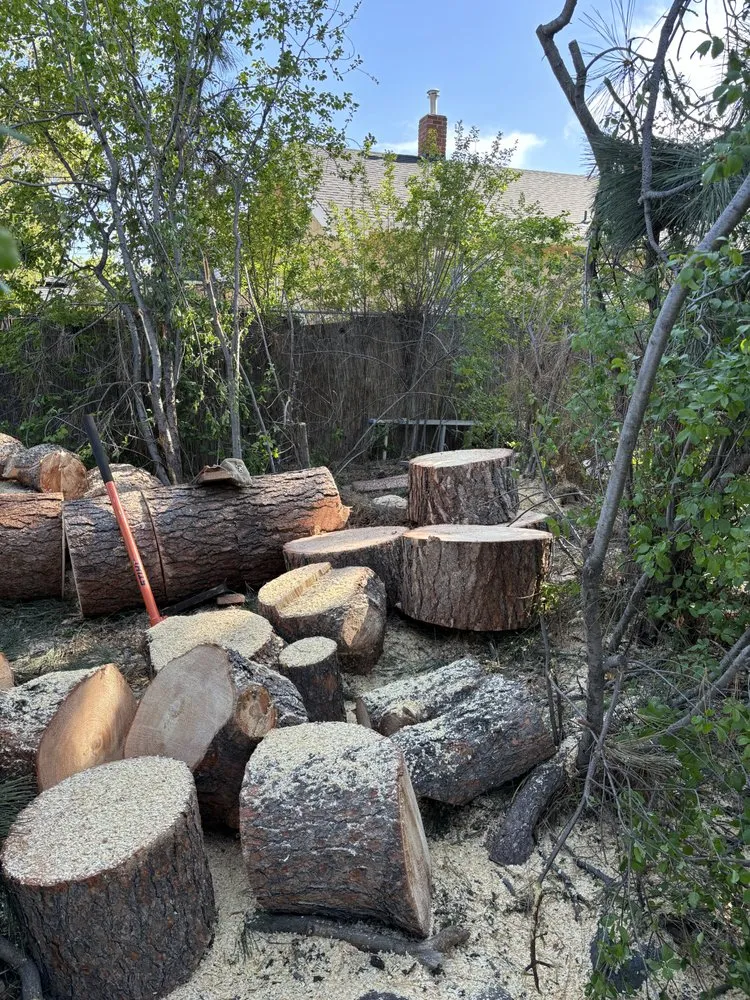 Custom outdoor landscaping in Westminster, CO by Ace Tree Service LLC