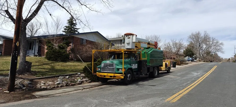 Reliable yard cleanup service experts serving Westminster, CO - Ace Tree Service LLC