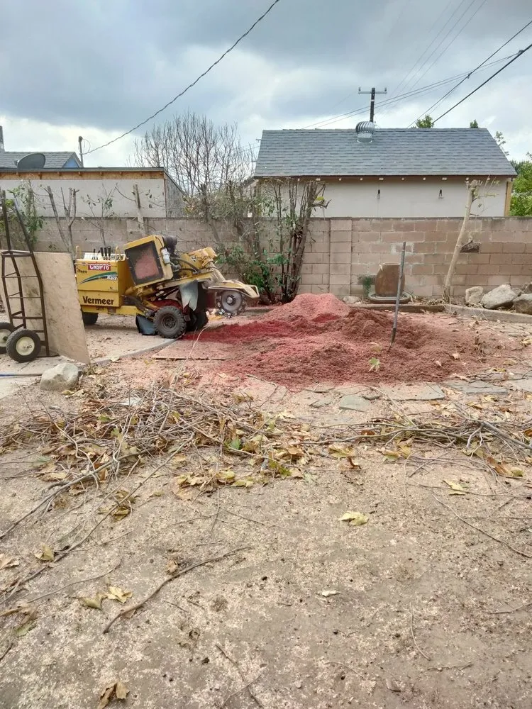 Expert lawn mowing service in Sylmar, CA - Ace Tree Service