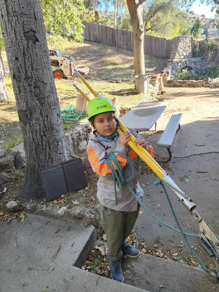 Custom landscape design in Sylmar, CA - Ace Tree Service