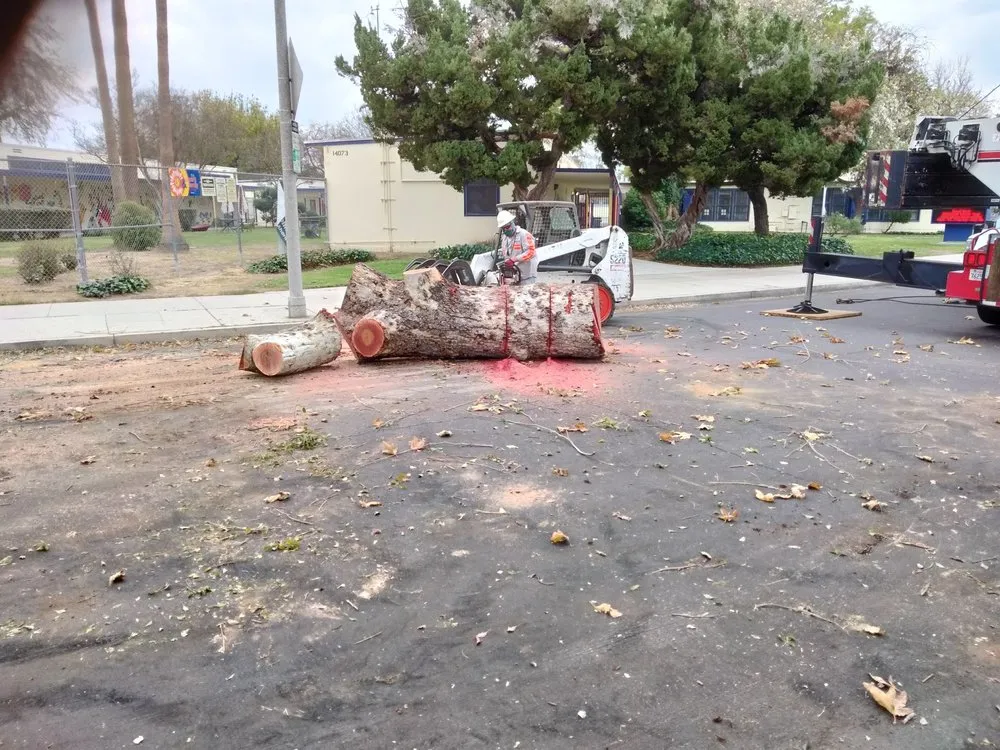 Trusted outdoor landscaping in Sylmar, CA - Ace Tree Service