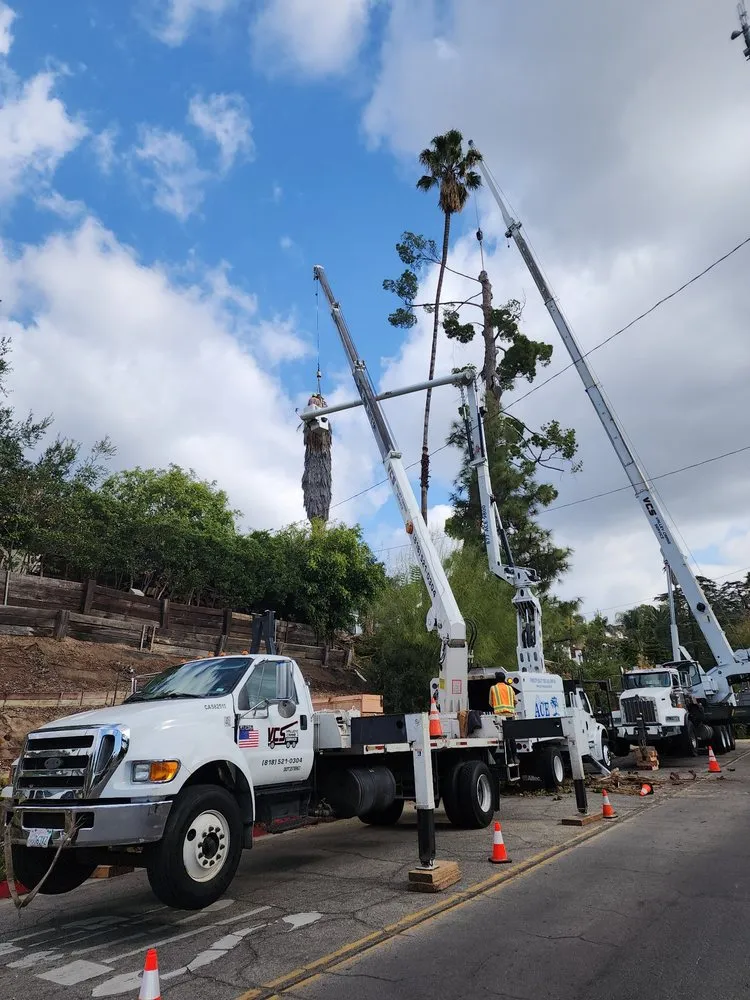 Local outdoor landscaping in Sylmar, CA - Ace Tree Service