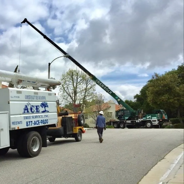 Reliable residential landscaping for beautiful yards across Sylmar, CA - Ace Tree Service