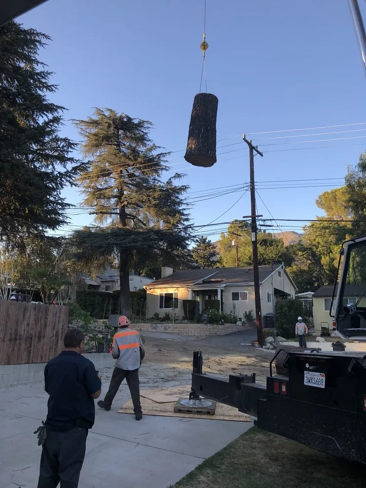 Custom garden landscaping for year-round maintenance across Sylmar, CA - Ace Tree Service
