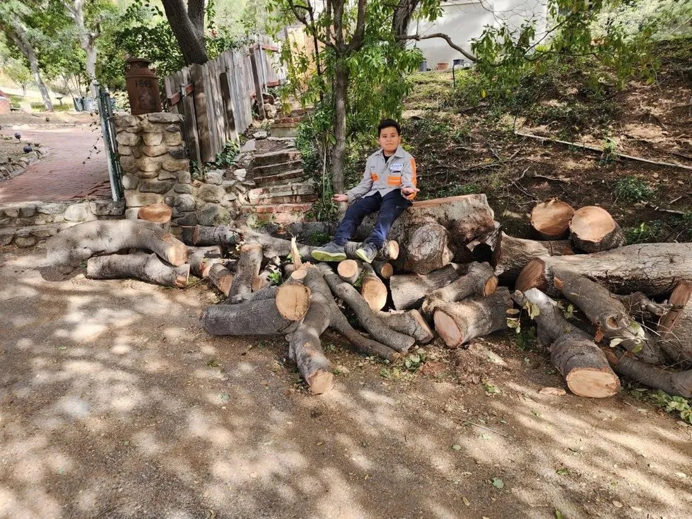 Affordable outdoor landscaping in Sylmar, CA by Ace Tree Service