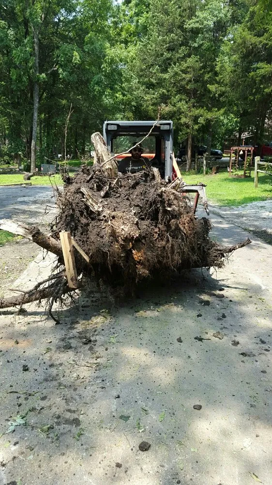 Reliable yard cleanup service near you across Weston, MO - Ace Tree Service