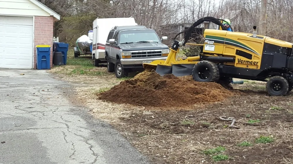 Top-rated landscape design in Weston, MO - Ace Tree Service