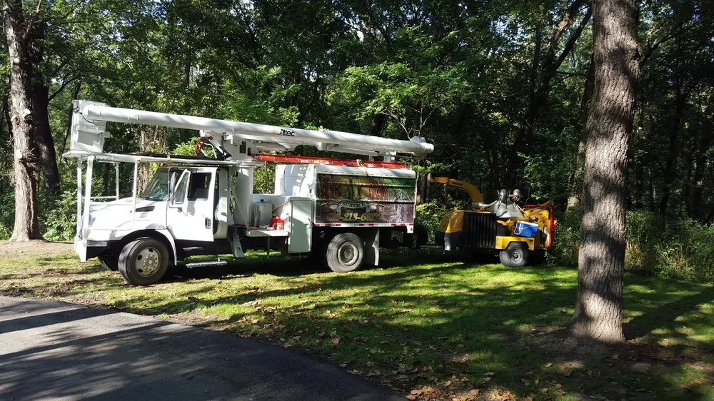 Reliable yard cleanup service with custom design across Weston, MO - Ace Tree Service