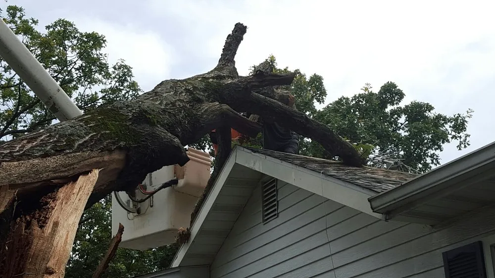 Affordable outdoor landscaping for beautiful yards in Weston, MO by Ace Tree Service