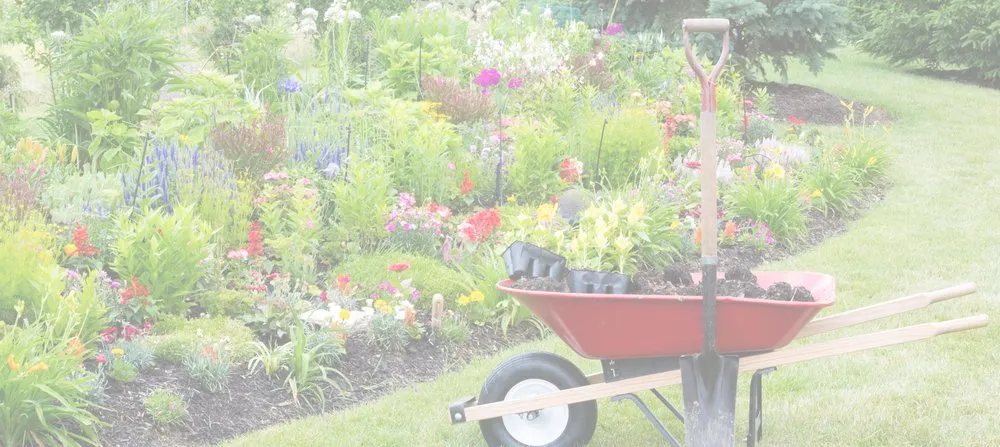 Reliable landscape design in Middleton, WI by ACE4U Landscape and Pond Building