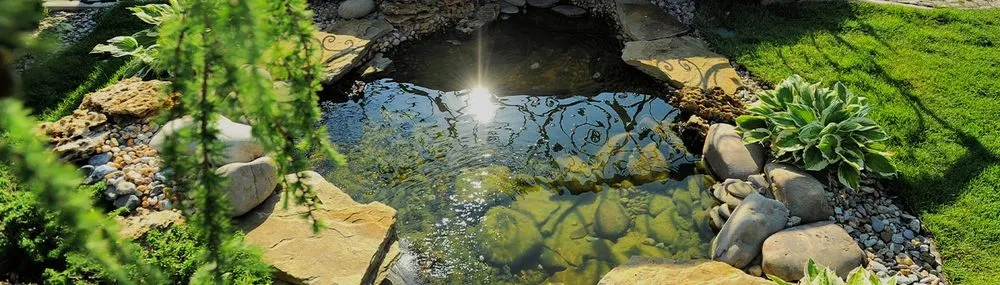 Expert yard cleanup service near you in Middleton, WI by ACE4U Landscape and Pond Building