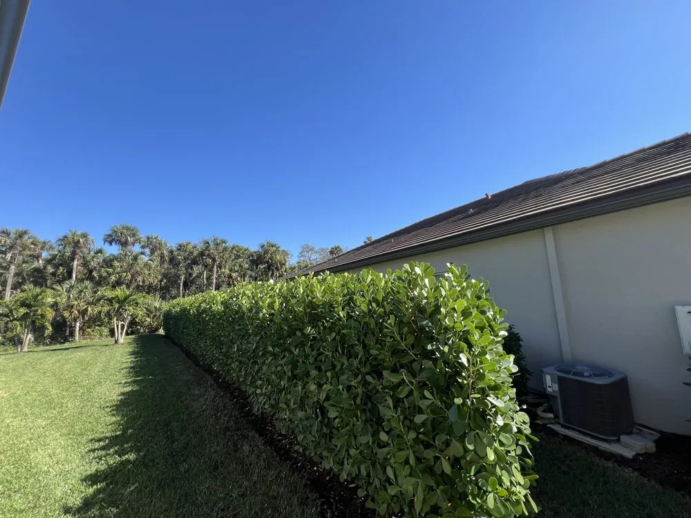 Expert landscape installation experts serving Naples, FL - ACEJ Landscaping