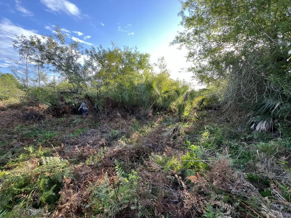 Expert lawn care service in Naples, FL by ACEJ Landscaping