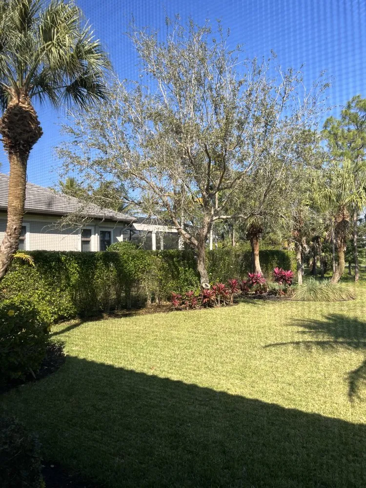 Expert yard cleanup service near you across Naples, FL - ACEJ Landscaping