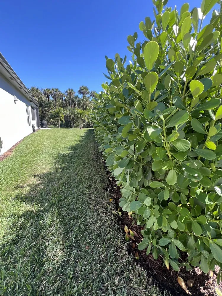 Professional outdoor landscaping for beautiful yards across Naples, FL - ACEJ Landscaping