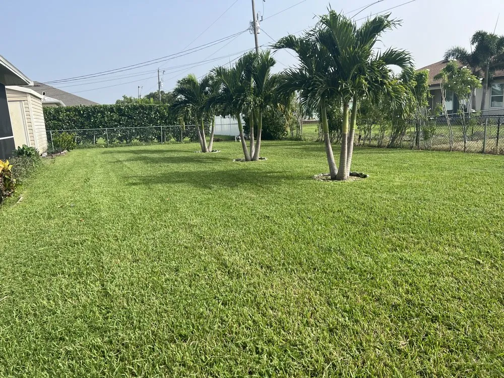 Expert yard cleanup service in Naples, FL - ACEJ Landscaping