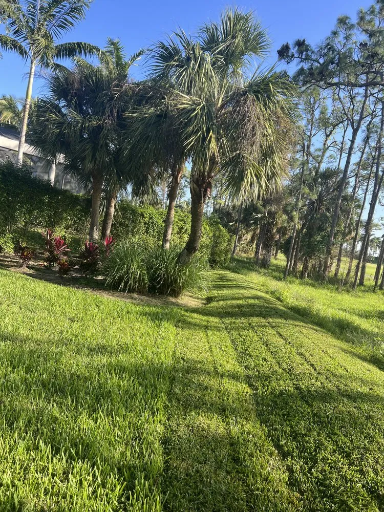 Local outdoor landscaping with custom design across Naples, FL - ACEJ Landscaping