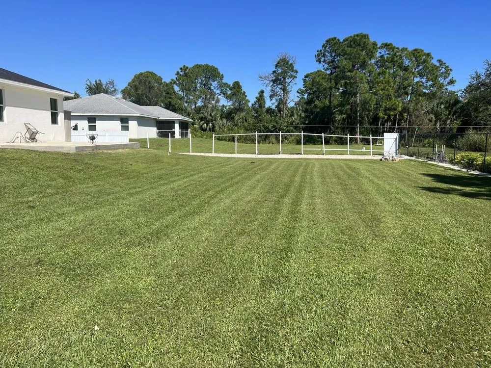 Affordable yard cleanup service for beautiful yards in Naples, FL by ACEJ Landscaping