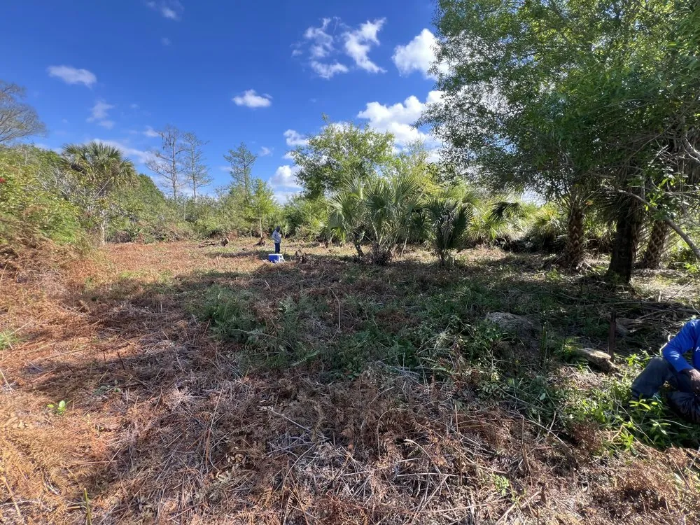 Local landscape design in Naples, FL by ACEJ Landscaping