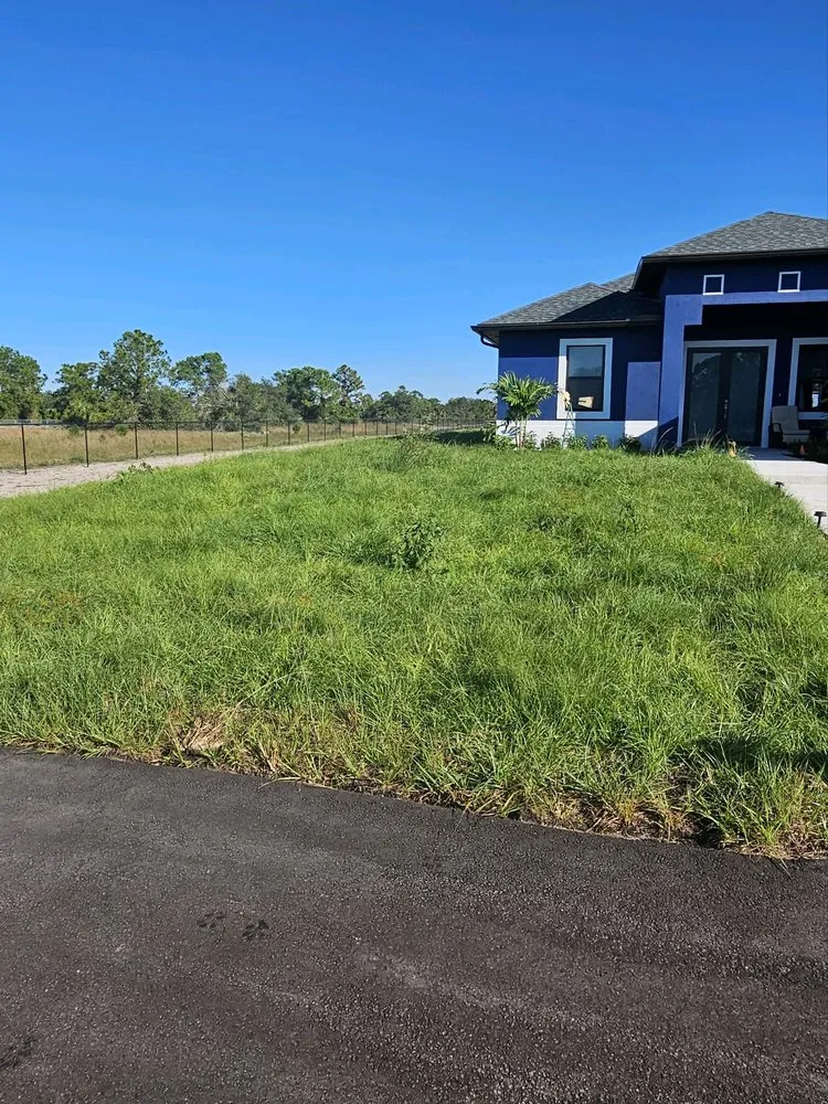 Trusted landscaping services in Naples, FL - ACEJ Landscaping