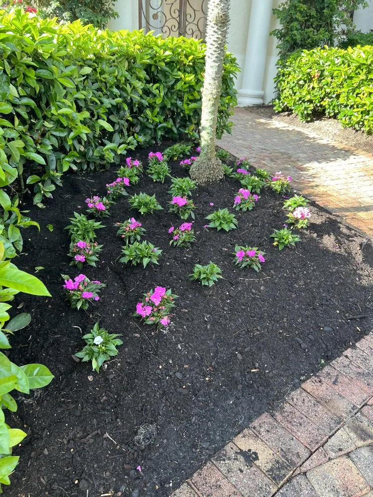 Top-rated garden landscaping for residential properties across Naples, FL - ACEJ Landscaping