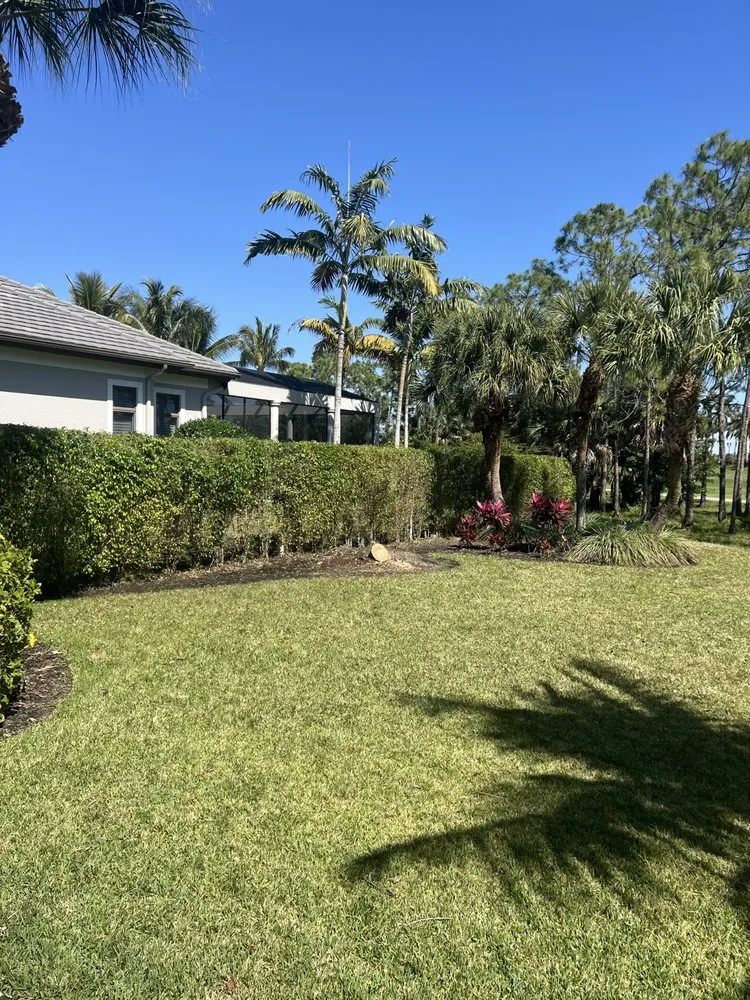 Top-rated residential landscaping with custom design in Naples, FL by ACEJ Landscaping