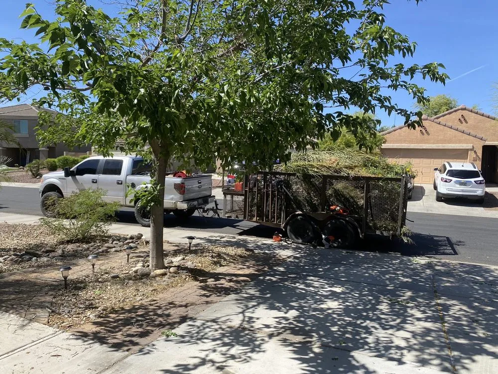 Trusted yard maintenance experts serving Peoria, AZ - A.C.E.L maintenance