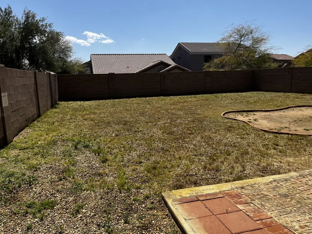 Local outdoor landscaping for outdoor upgrades across Peoria, AZ - A.C.E.L maintenance