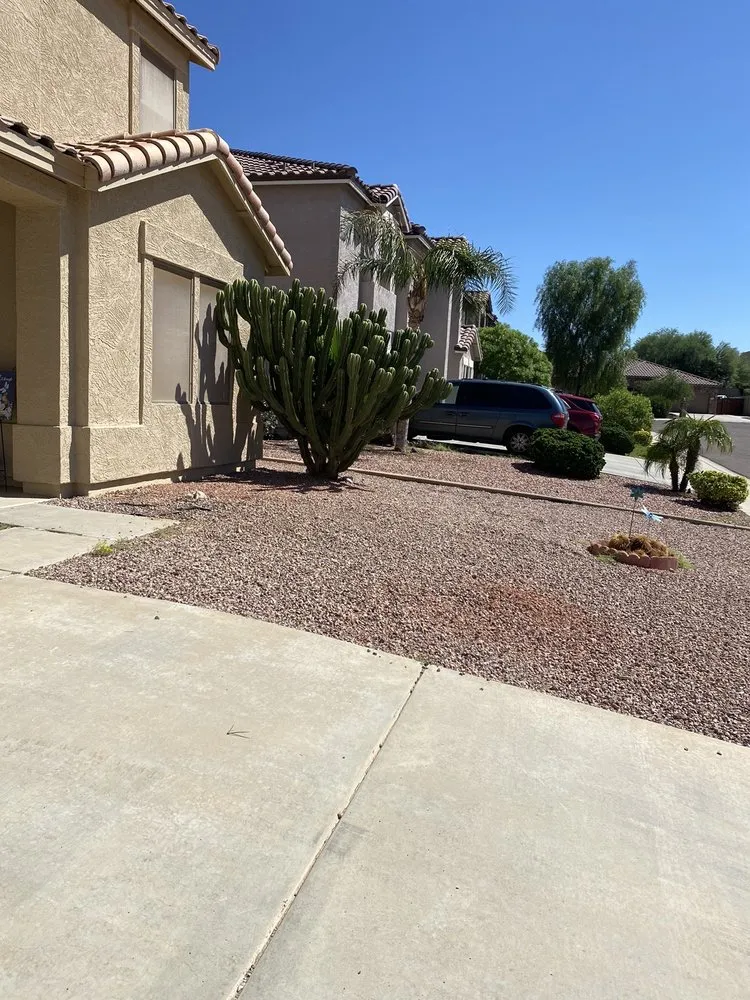 Top-rated garden landscaping experts serving Peoria, AZ - A.C.E.L maintenance