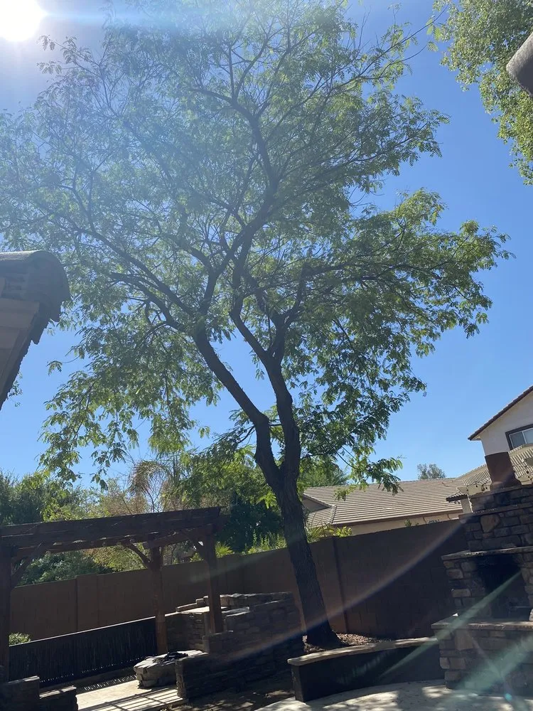 Affordable landscaping services in Peoria, AZ by A.C.E.L maintenance