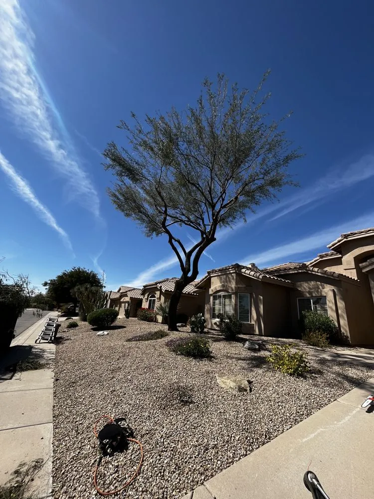 Professional lawn mowing service experts serving Peoria, AZ - A.C.E.L maintenance