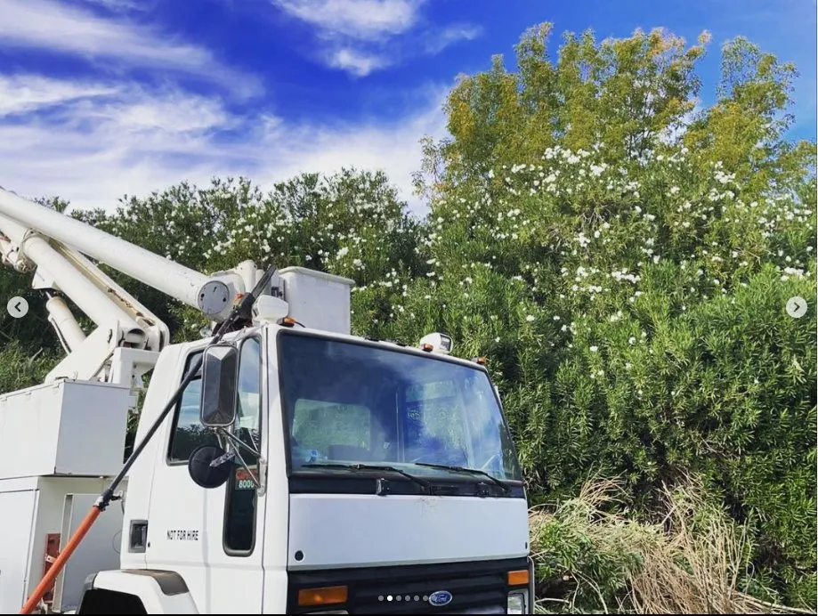 Trusted landscaping services experts serving Peoria, AZ - A.C.E.L maintenance