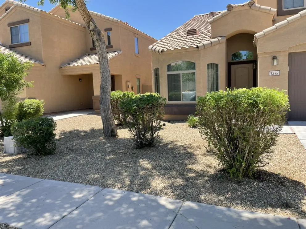 Expert yard cleanup service for year-round maintenance in Peoria, AZ by A.C.E.L maintenance