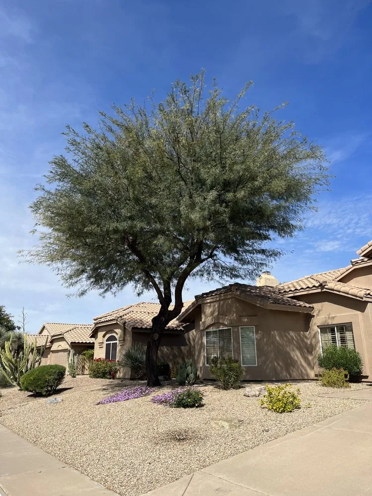 Custom outdoor landscaping in Peoria, AZ by A.C.E.L maintenance