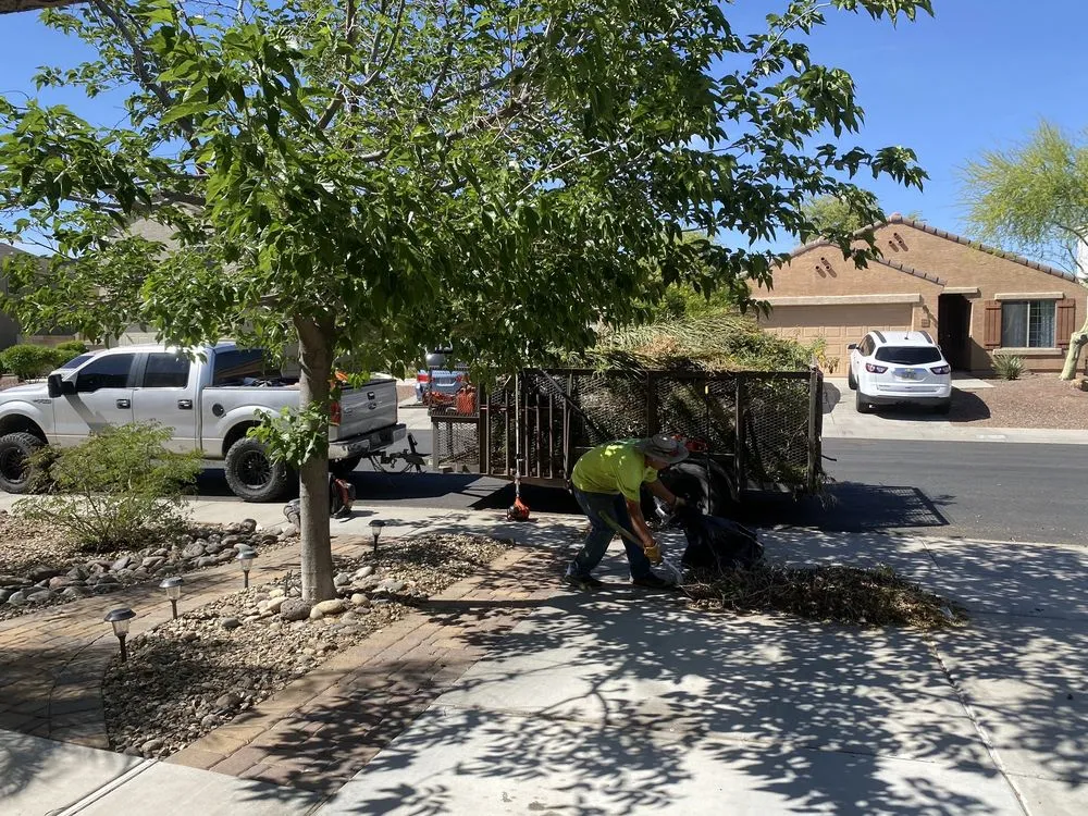 Custom landscape installation near you across Peoria, AZ - A.C.E.L maintenance