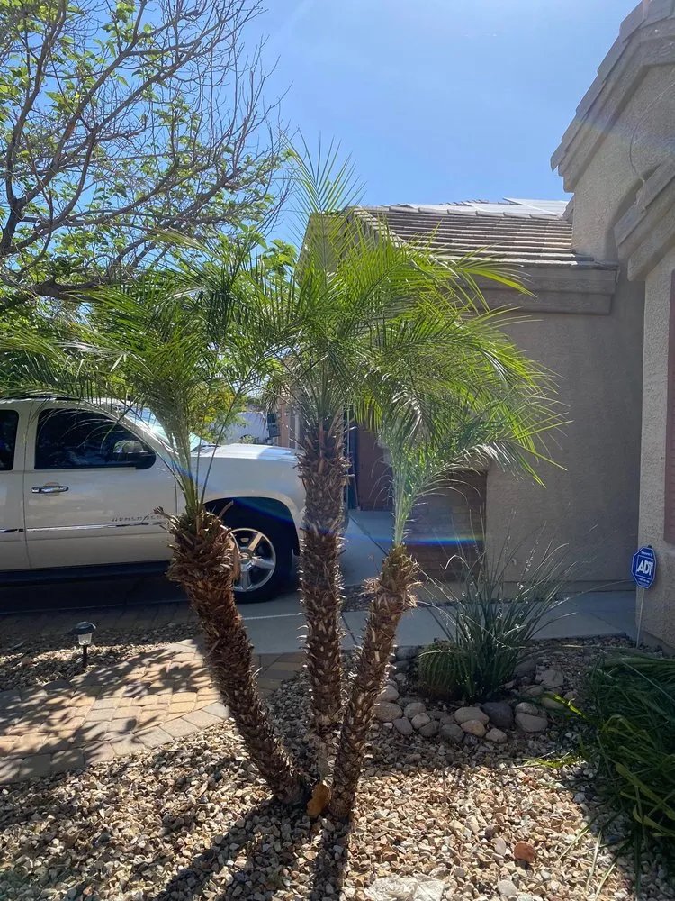 Top-rated garden landscaping for outdoor upgrades across Peoria, AZ - A.C.E.L maintenance