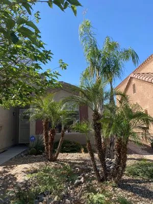 A.C.E.L maintenance Logo