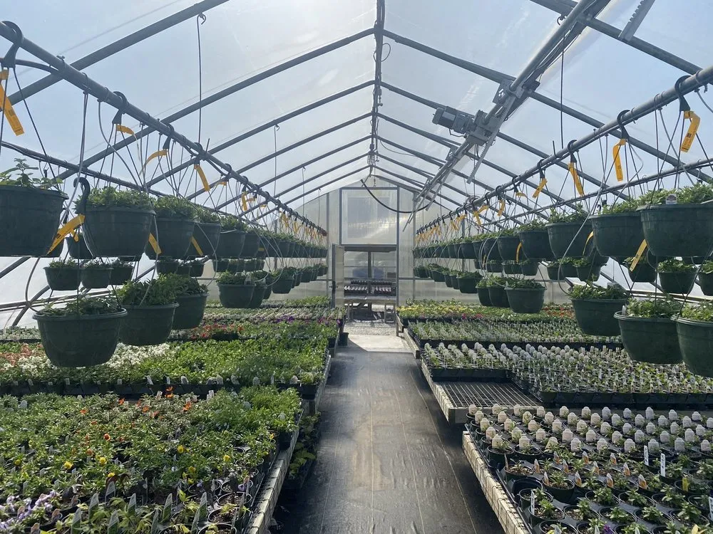 Expert lawn care service for outdoor upgrades across Deep River, CT - Acer Gardens