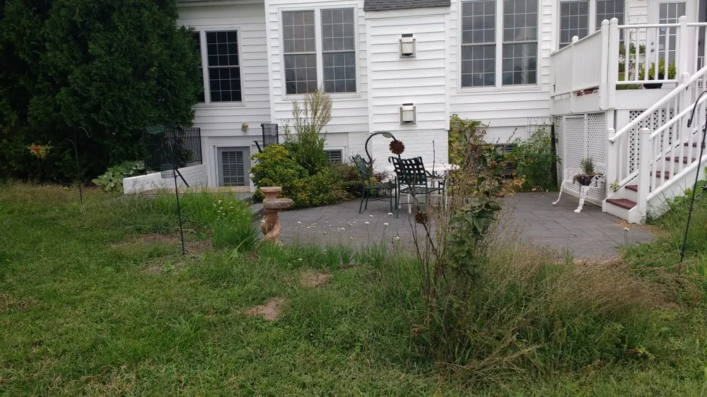Reliable yard cleanup service in Knoxville, MD - Acer Landcare