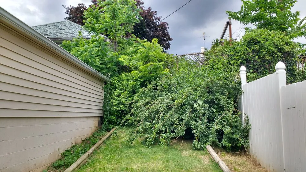 Expert lawn mowing service in Knoxville, MD - Acer Landcare