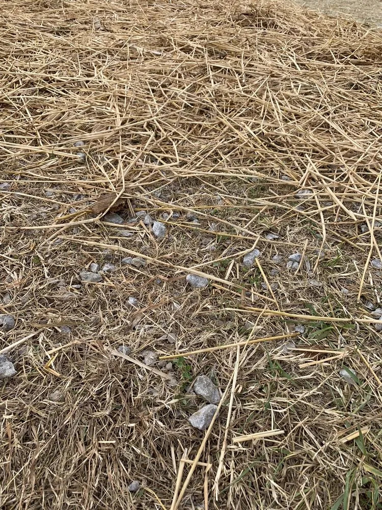 Custom residential landscaping experts serving Murfreesboro, TN - Acer Landscape Services