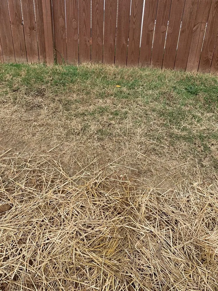 Trusted landscape installation for year-round maintenance in Murfreesboro, TN by Acer Landscape Services