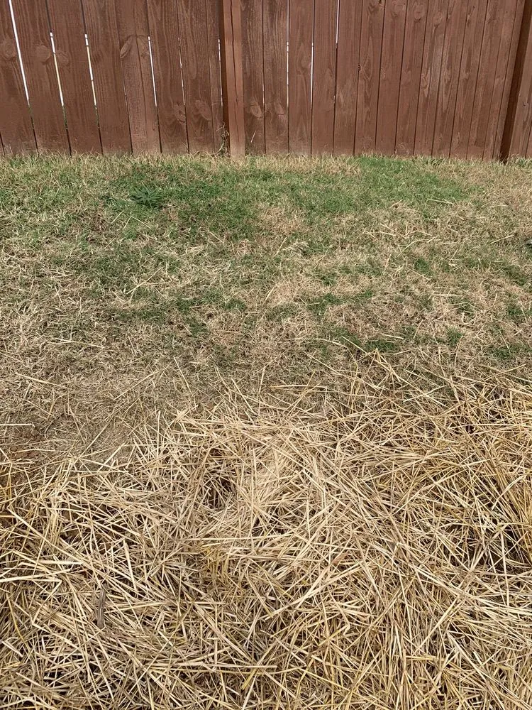 Affordable landscape design in Murfreesboro, TN by Acer Landscape Services