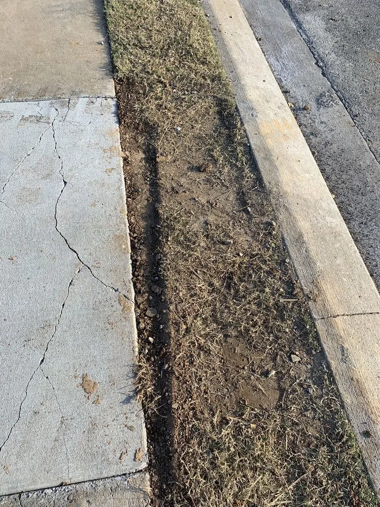 Affordable lawn care service for outdoor upgrades in Murfreesboro, TN by Acer Landscape Services