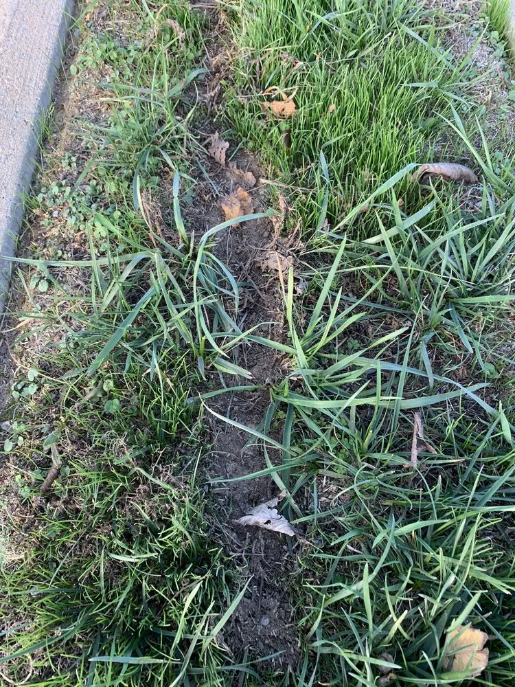 Reliable lawn mowing service experts serving Murfreesboro, TN - Acer Landscape Services