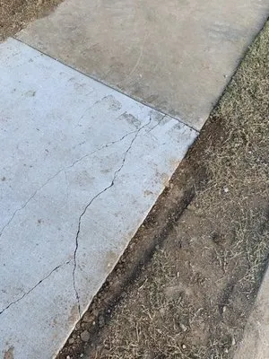 Acer Landscape Services Logo