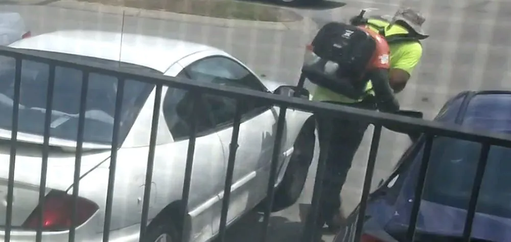 Affordable residential landscaping experts serving Nashville, TN - Acer Landscape Services