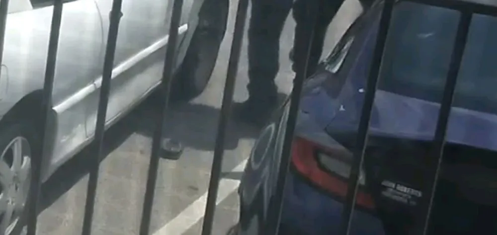 Reliable lawn care service in Nashville, TN - Acer Landscape Services