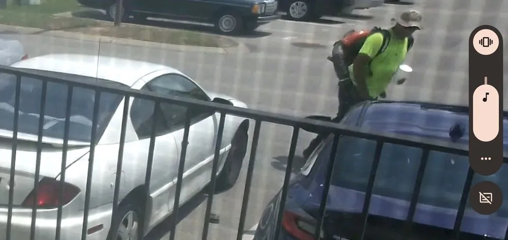 Custom landscaping services for year-round maintenance across Nashville, TN - Acer Landscape Services